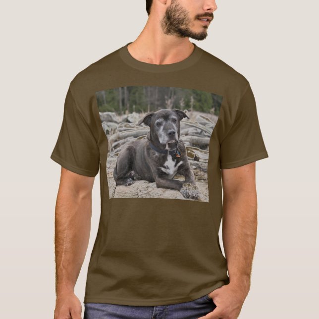 American Staffordshire Terrier - Shirts (Front)