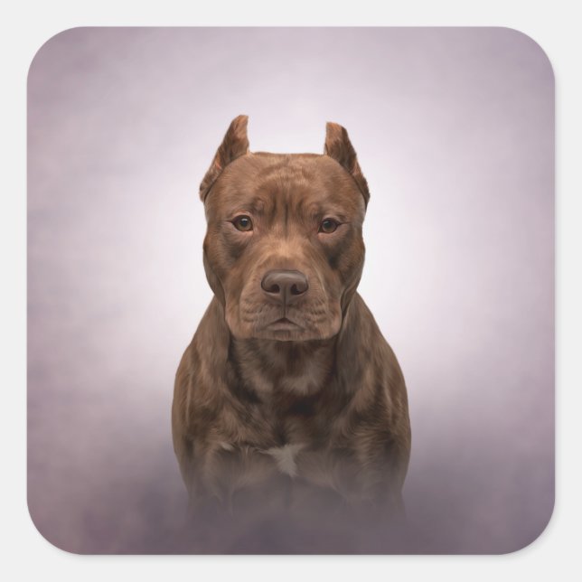 American Staffordshire Terrier Square Sticker (Front)