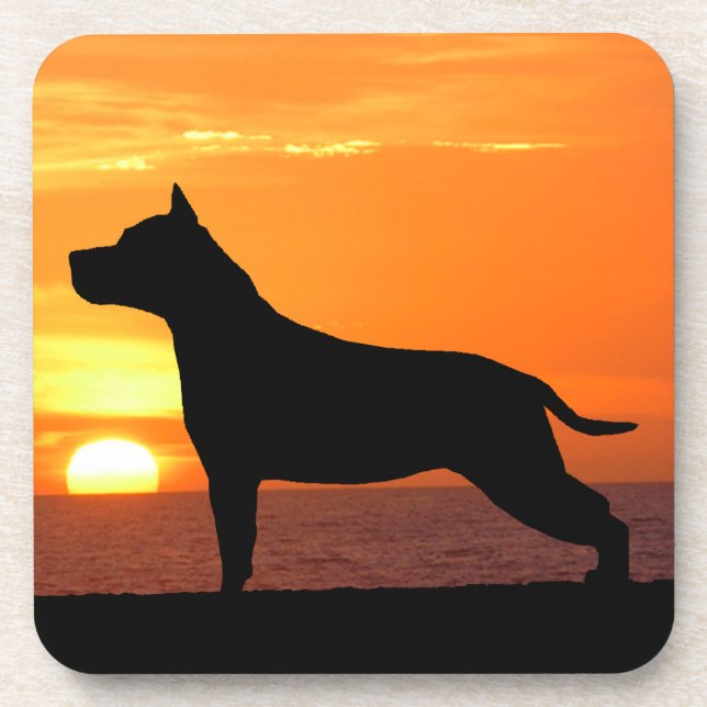 American Staffordshire Terrier Sunset Coaster Set (Front)