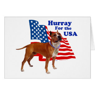 American Staffordshire Terrier USA Cards