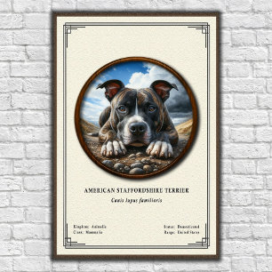 American Staffordshire Terrier Zoology Series Poster