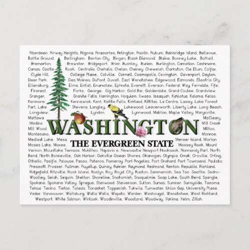 American States  _ Washington Postcard
