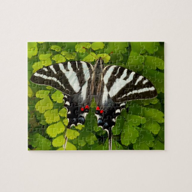 American Swallowtail Butterfly Jigsaw Puzzle (Horizontal)