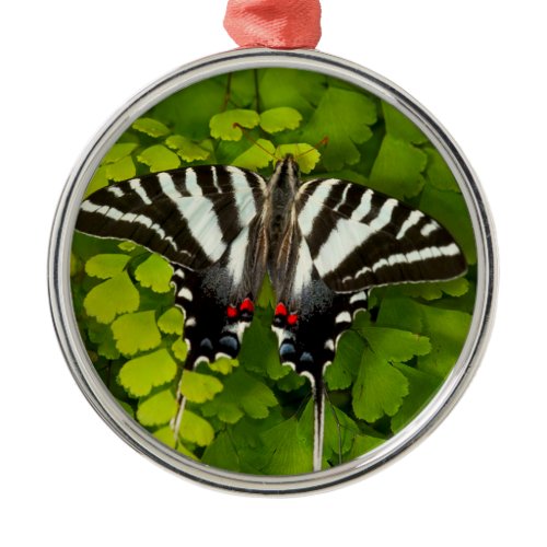 American Swallowtail Butterfly Metal Ornament