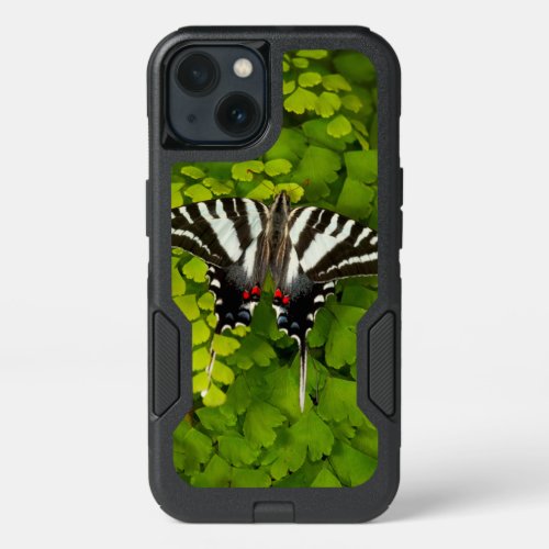 American Swallowtail Butterfly iPhone 13 Case