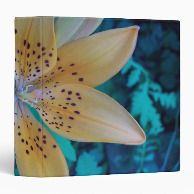 American Tiger Lily 3 Ring Binder (Front/Spine)