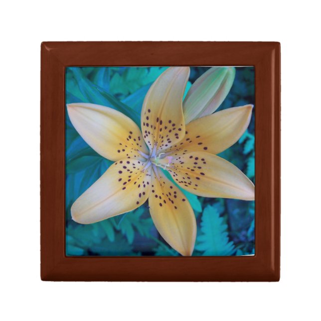 American Tiger Lily Jewelry Box (Front)