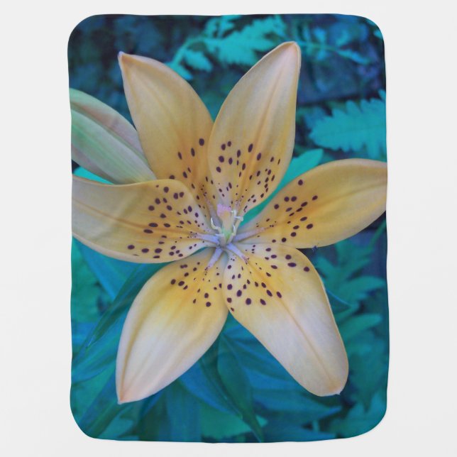American Tiger Lily Receiving Blanket (Front)
