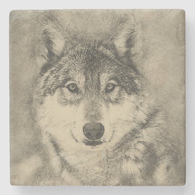 American Timber Wolf Pencil Drawing Stone Coaster (Front)