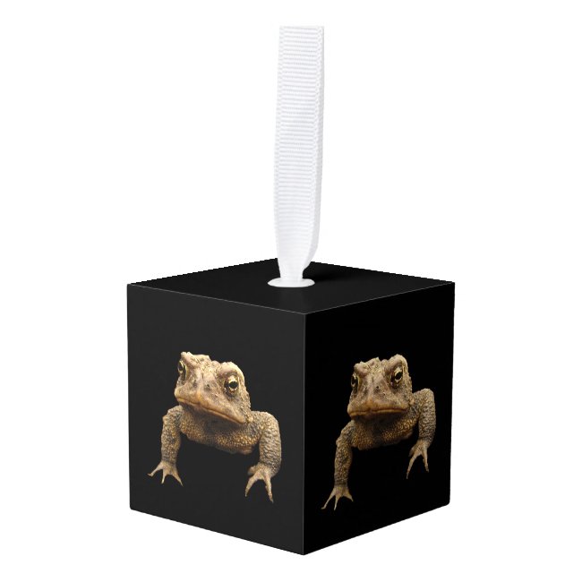 American Toad Animal Cube Ornament