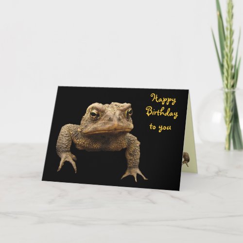 American Toad Birthday Card