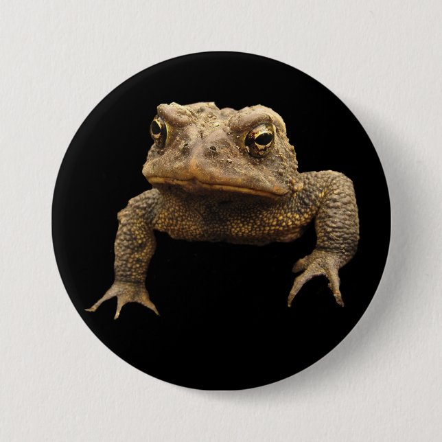 American Toad Button (Front)