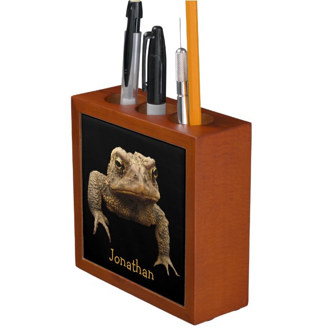 American Toad Desk Organizer (In Situ)