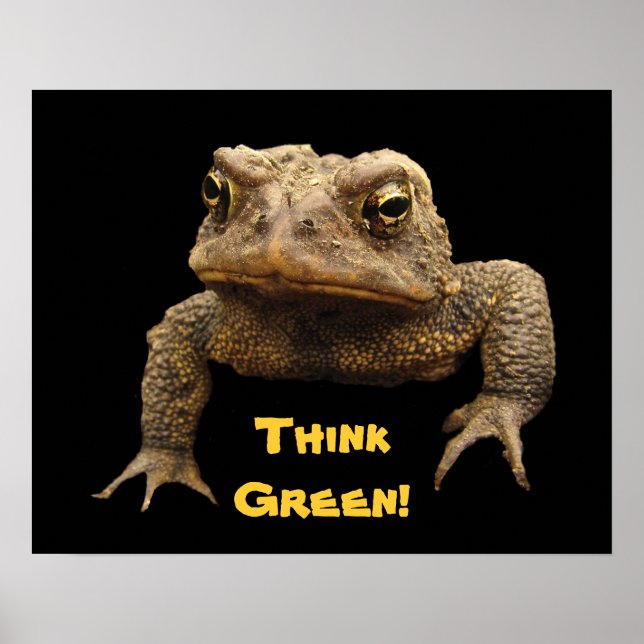 American Toad Earth Day Poster (Front)