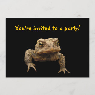 American Toad Invitation