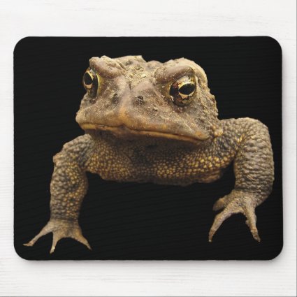 American Toad Mouse Pad
