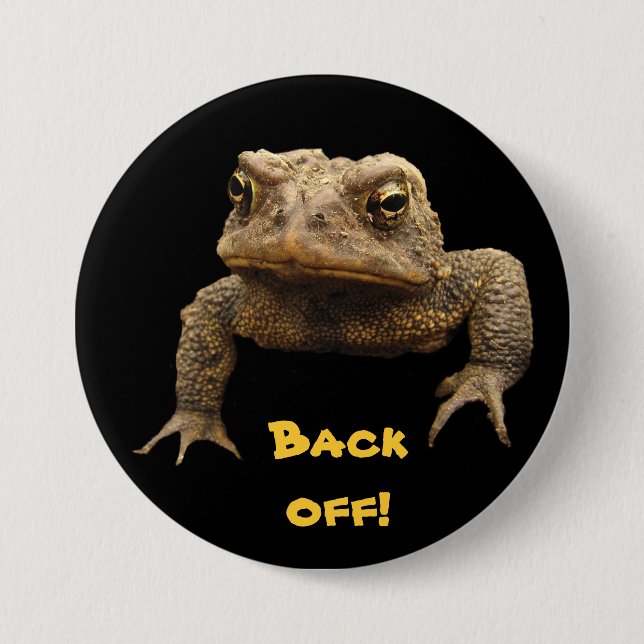 American Toad Pinback Button (Front)