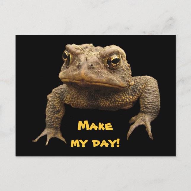 American Toad Postcard (Front)