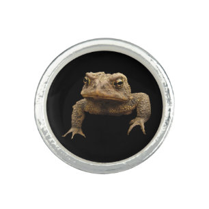 American Toad Ring