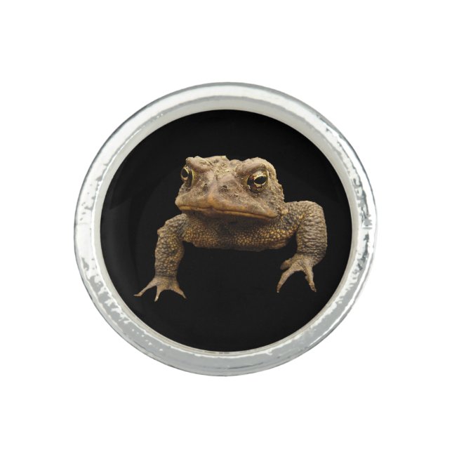 American Toad Ring (Front)