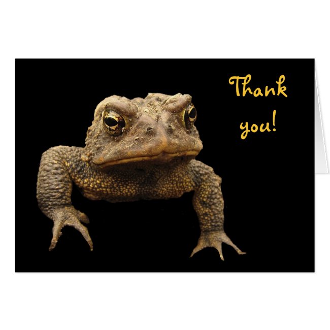 American Toad Thank You
