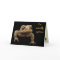 American Toad Valentine