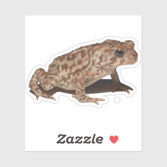 American Toad Vinyl Sticker (Sheet)