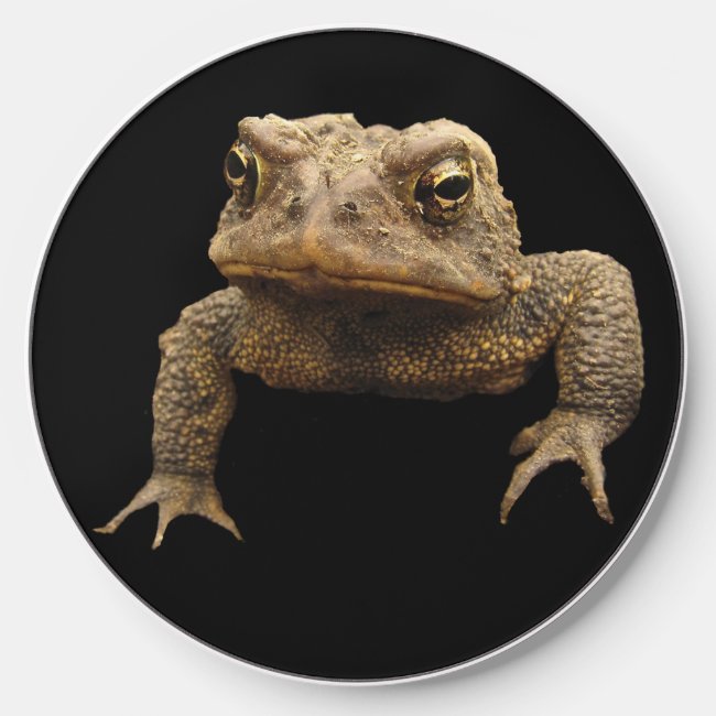 American Toad Wireless Charger