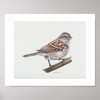 American Tree Sparrow Art Print