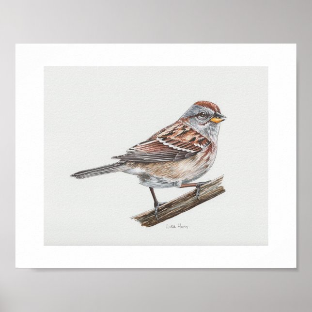 American Tree Sparrow Art Print (Front)