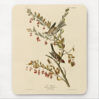 American Tree Sparrow, Audubon's Birds of America Mouse Pad