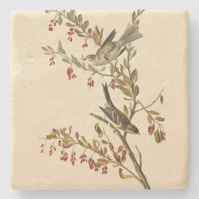 American Tree Sparrow, Audubon's Birds of America Stone Coaster (Front)