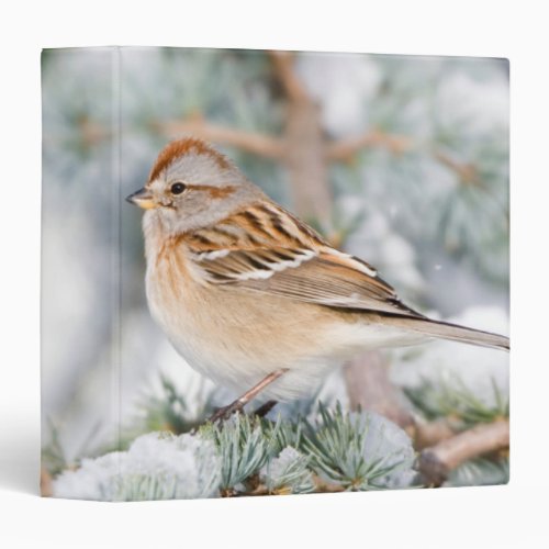 American Tree Sparrow in winter 3 Ring Binder