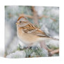 American Tree Sparrow in winter 3 Ring Binder