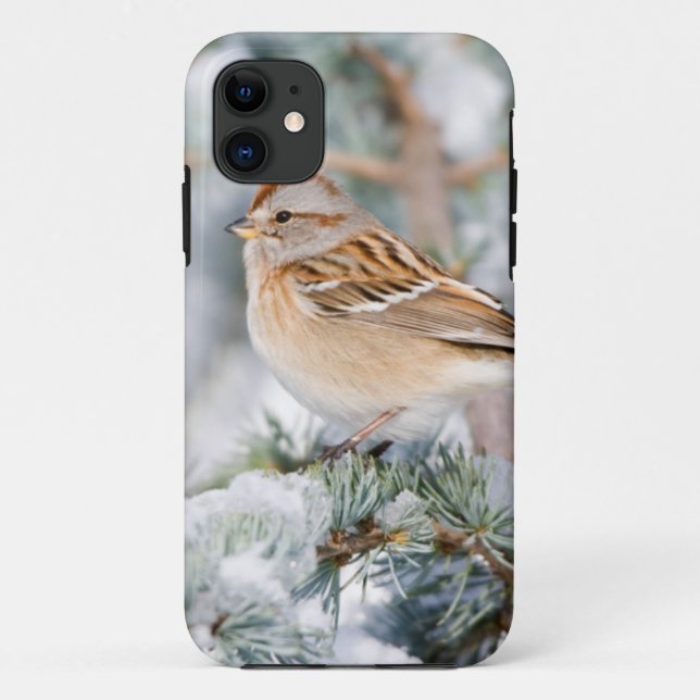 American Tree Sparrow in winter Case-Mate iPhone Case (Back)