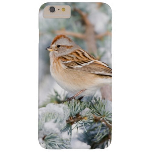 American Tree Sparrow in winter Barely There iPhone 6 Plus Case