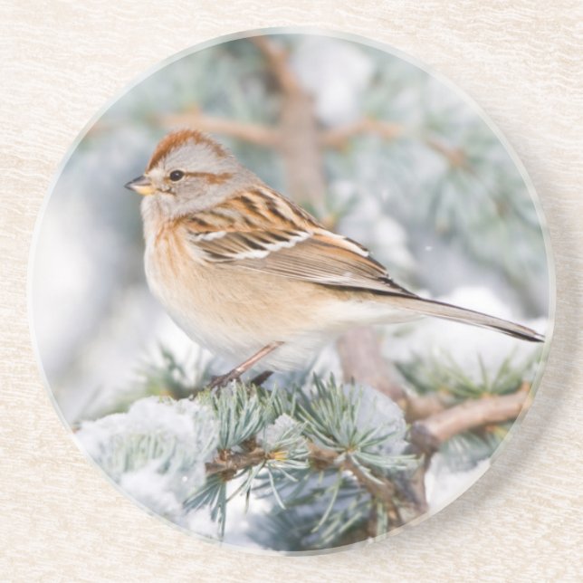American Tree Sparrow in winter Drink Coaster (Front)