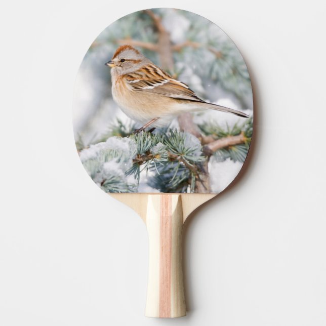 American Tree Sparrow in winter Ping-Pong Paddle (Front)
