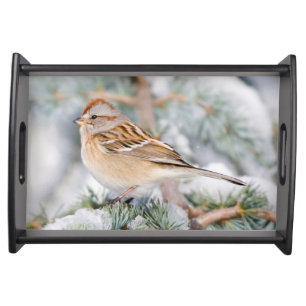 American Tree Sparrow in winter Serving Tray