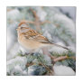 American Tree Sparrow in winter Tile