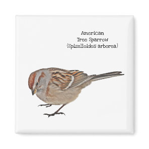 American Tree Sparrow Magnet