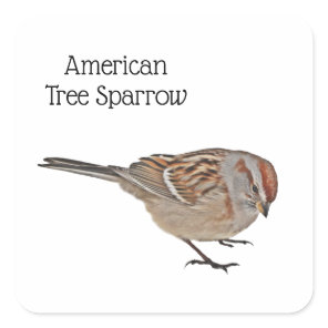 American Tree Sparrow Square Sticker