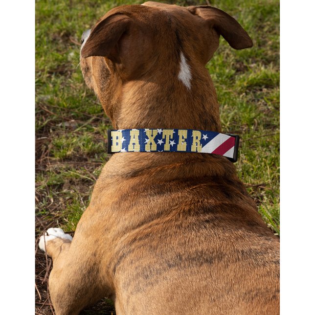 American USA Flag Stars Stripes Dog Puppy Name Pet Collar (American USA Flag Stars Stripes Dog Puppy Name Pet Collar)