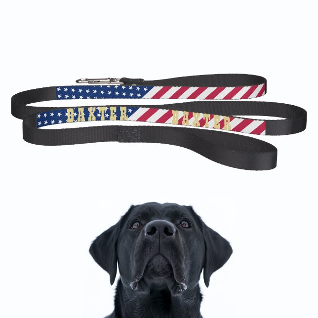 American USA Flag Stars Stripes Dog Puppy Name Pet Leash (American USA Flag Stars Stripes Dog Puppy Name Pet Leash)
