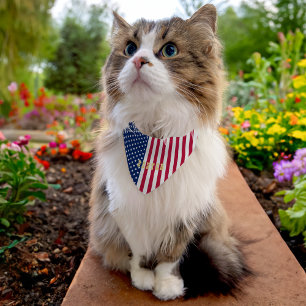 American USA Flag Stars Stripes Pet Dog Puppy Name Pet Bandana Collar
