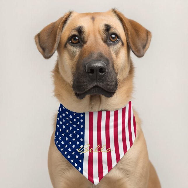 American USA Flag Stars Stripes Pet Puppy Dog Name Bandana Collar (Dog 2)