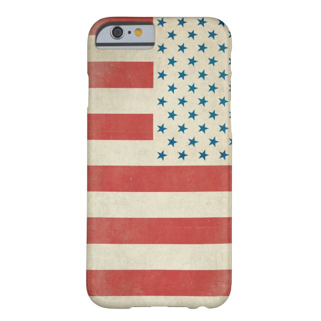 American Vintage Civilian Flag Case (Back)