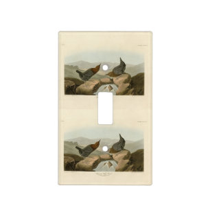 American Water Ouzel - Audubon's Birds of America Light Switch Cover