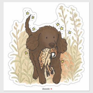 American Water Spaniel Car Decal