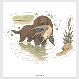 American Water Spaniel Car Decal